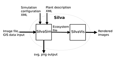 Overview of Silva showing the two main modules SilvaSim and SilvaVis, as well as their inputs and outputs.