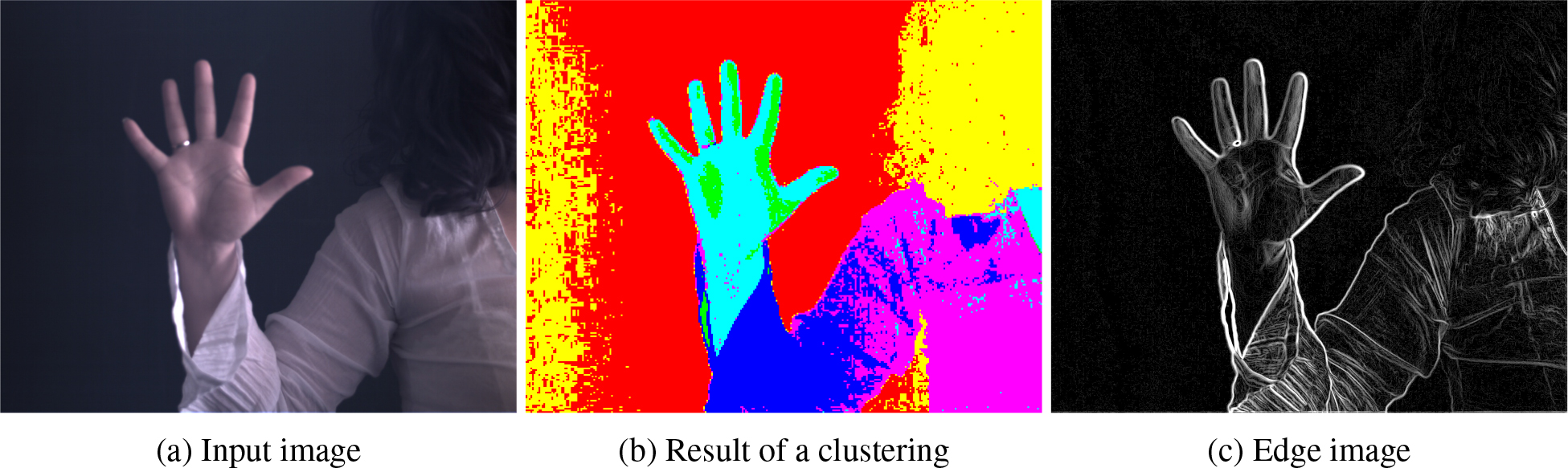We use three different quality measures to determine the optimal number of clusters an image (a) has to be split into. The first two quality measures are based on the re-projection of the clustering result to image space. Image (b) shows an example: each individual color represents a cluster id. While the first measure uses the border length itself between the individual clusters, the second approach measures the average edge response (c) at the cluster borders. The third quality measure tests the closeness of the color pixels to the cluster centers in color space.