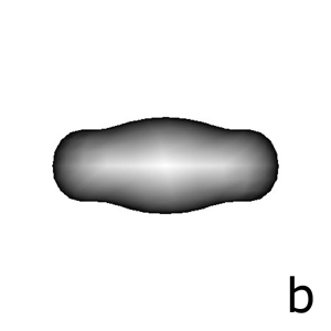 Backprojection of distance values in image 2(a) over the 3D model. Mesh vertices color represent the backprojected distance label. (a) Original mesh; (b) Mesh in Figure 2(a) rotated 180 degrees over the X axis, with grey levels proportional to the distances to the external silhouette; (c) Mesh in 2(a) rotated 205 degrees over the X axis, with grey levels proportional to the distances to the external silhouette