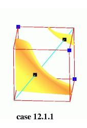 Topological configurations with two ambiguous faces: trilinear model in yellow-orange, isopoints in black, positive nodes in blue, rays in cyan.