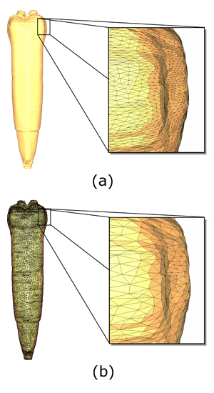 Surface models of one grain at different resolutions (a) left, a grain with a mesh size of 250,000 triangles, and right, detail with highlighted faces (b) left, reduced mesh with approximately 40,000 highlighted faces, and right, detail with highlighted faces.