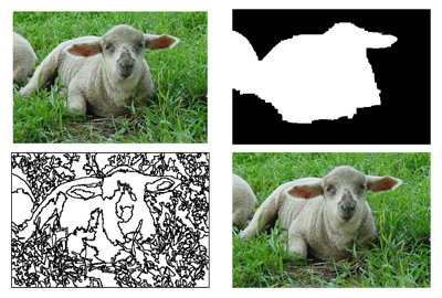 The sheep class mask (2nd image) obtained by CBIS was used to eliminate the background from the coloring page obtained by the basic system (3rd image). Furthermore, the low level segmentation was replaced by the high level masks boundary and texture edges added inside the relevant region (4th image).