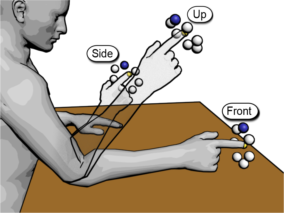Schematic illustration depicting the three interaction positions. Only one ring of spheres was active during a single trial. The blue sphere depicts the target sphere. The yellow sphere depicts the sphere the user saw at the location of the fingertip.