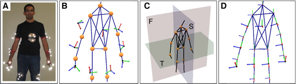 Skeleton Normalization. (a) Recording setup. (b) Motion captured raw data based on (a). The marker bodies are recording-dependent. (c) Default position and body planes. (d) The normalized coordinate systems are aligned to the skeleton structure.