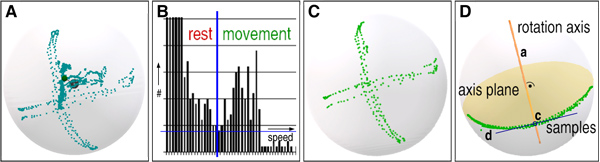 Skeleton Parameterization. (a) Illustration of limb positions. (b) Histogram of movement speeds. (c) Samples (based on a) classified as movement samples. (d) Relation between main direction and corresponding rotation axis.