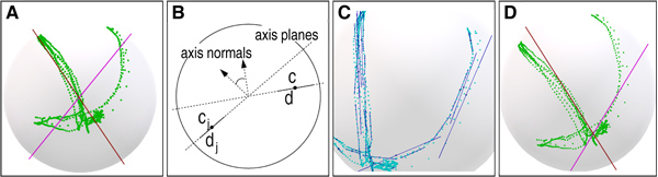 Axis Extraction. The lines in a and d show the intersection of the axis planes with the sphere tangent plane which is orthogonal to both axis planes. (a) A case where both PCA and EM fail. Note that one of the planes could only be aligned badly with the corresponding samples. (b) Measuring the similarity of directions. (c) Initial direction groups (based on a). (d) Resulting axis planes. Note that the axes are much better aligned with the samples.