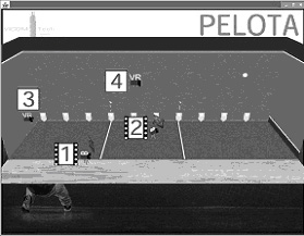 Figure 3: Graphical 3D interface of the pelota application