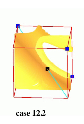 Topological configurations with two ambiguous faces: trilinear model in yellow-orange, isopoints in black, positive nodes in blue, rays in cyan.