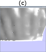 Visualization of a model of some teeth. (a) Visualization without zoom. (b) Zoomed visualization with the correct topology. (c) Zoomed visualization without the correct topology; some holes appear.