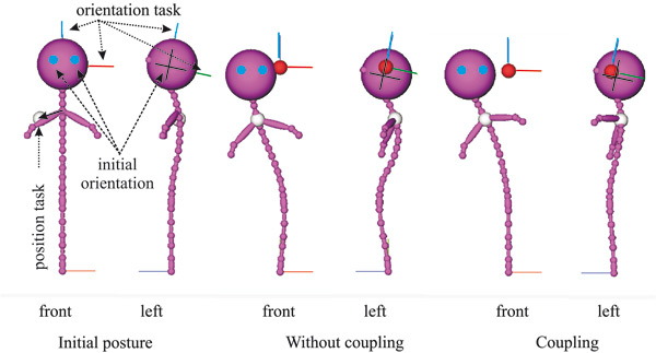 Front and left side views of the isolated spine: (left) initial configuration with indications of the two tasks; (middle) end configuration without coupling; (right) end configuration with coupling.