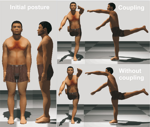 The initial and the achieved postures without coupling and with coupling