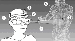 1) active Nuvision 60GX stereoscopic glasses 2) IS- 900 motion tracker from InterSense 3) oculomotor tracking system (ASL model H6) 4) example of a virtual character in wire mesh 5) a virtual measurement point (VMP) 6) a gaze radial angular deviation (GRAD) from the VMP.