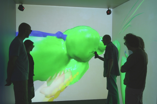 Interactive visualization of three-dimensional biological models in a CAVE.