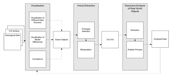 Application workflow: Model reconstruction and VR-based virtual extraction close the circuit from real-world modeling to the acquisition of new data by physical dissection.