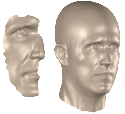 Shape completion with the model-driven fitting algorithm. The fitting target is only a small piece of geometry (left). A plausible complete head (right) is fitted to the given data. Note that there is no given data for the ear region.