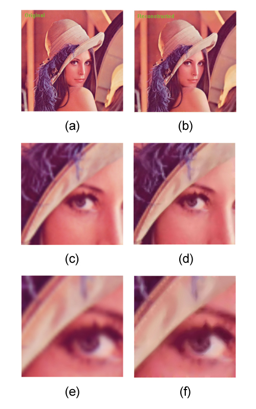 Rendering 'Lena' image with various techniques (a )Original 'Lena' image , (b) Rendered from contours (x1), (c) Original x4 (bilinear), (d) Contour control points x4, (e) Original x8 (bilinear), (f) Contour control points x8