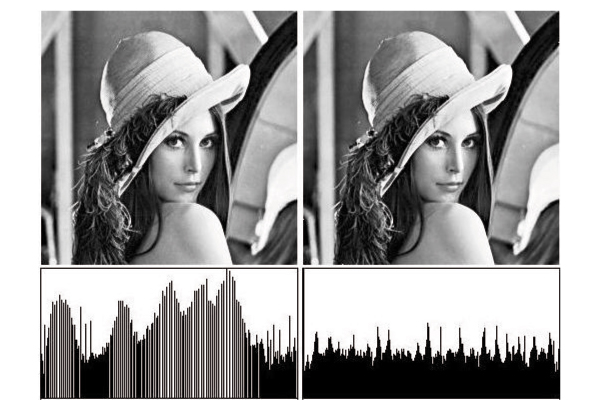 (a) Histogram equalised by pixel (b) Equalised by level reassignment