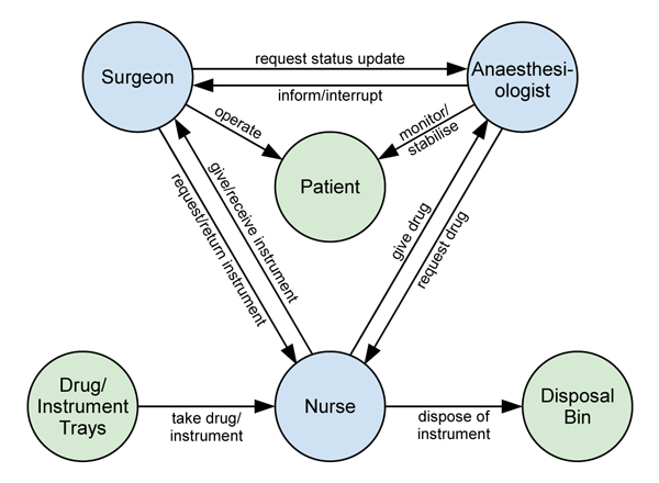 Diagram of the relations and interactions between the three roles and the patient.