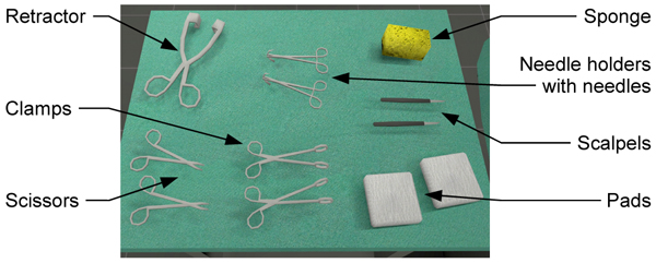 This screenshot shows the instruments for the surgical procedure. It is the task of the nurse to hand over the required instrument to the surgeon who is standing opposite on the other side of the patient.